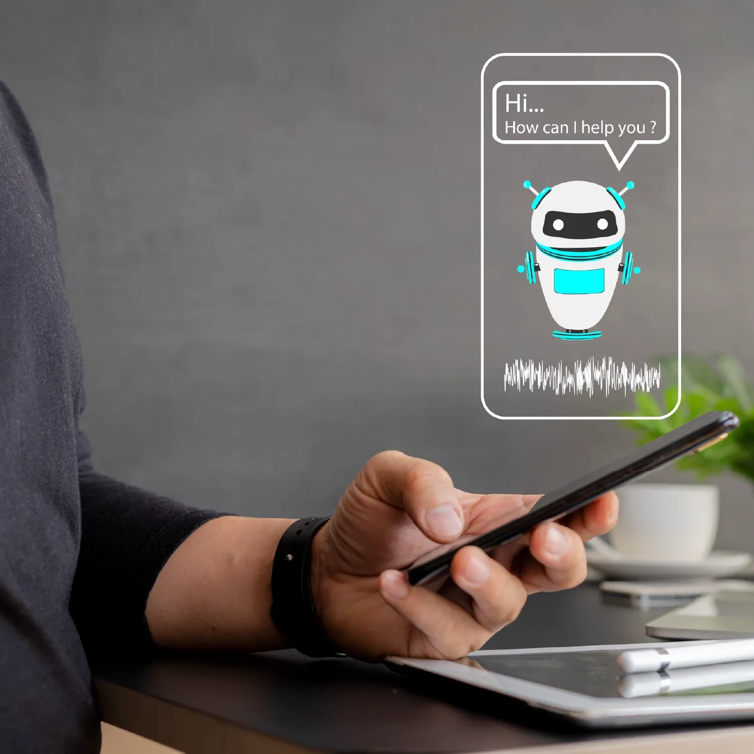 Categorías de conocimiento