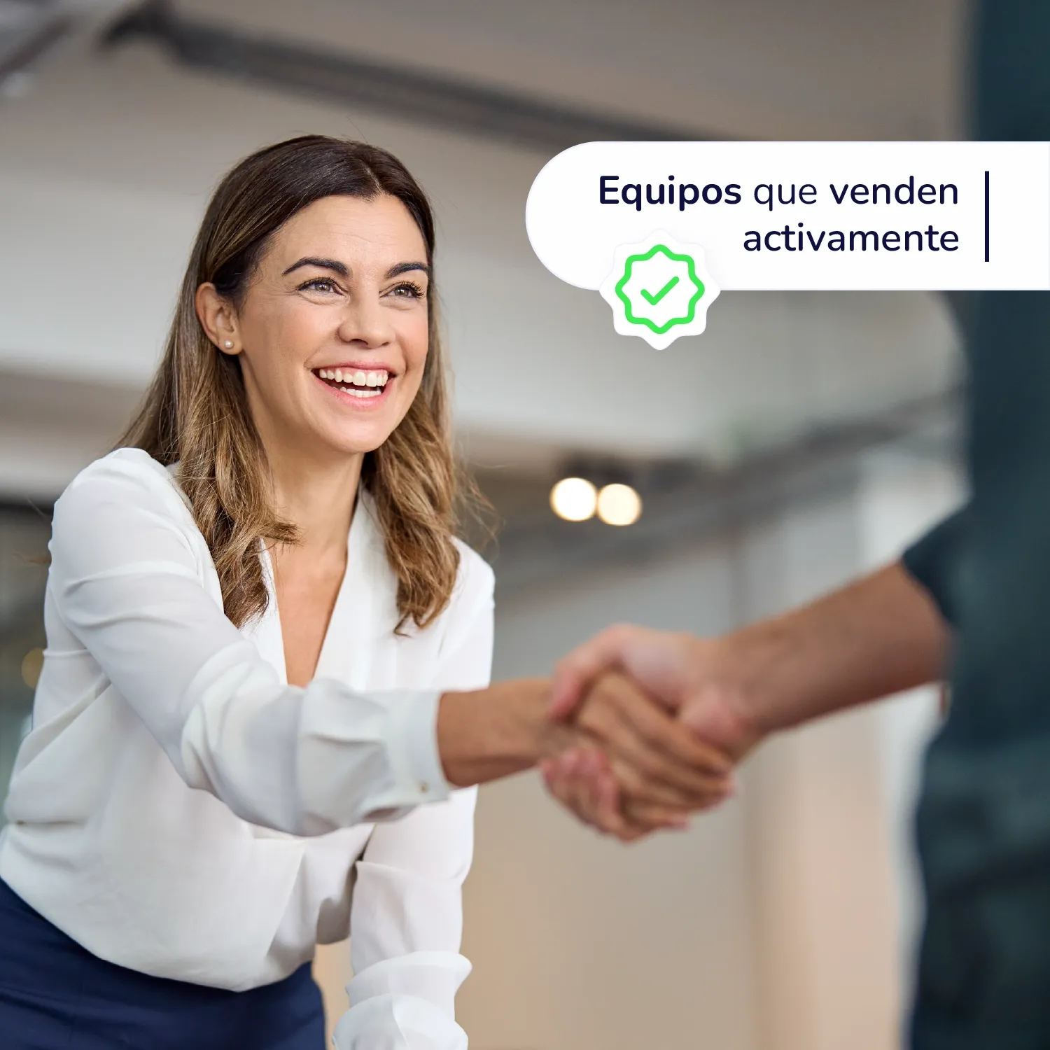 Partner Comercial